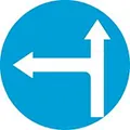 R301g